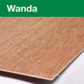 Wholesale 2mm Thickness Plywood Price from Manufacturer